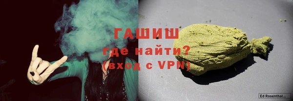 хмурый Алексин