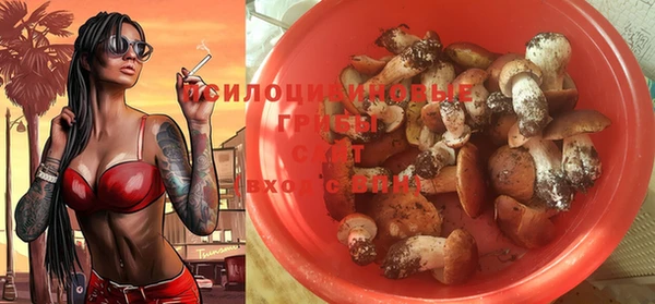 хмурый Алексин